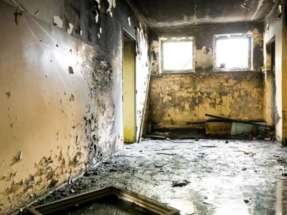 Mold Remediation in Romulus, Michigan (7461)